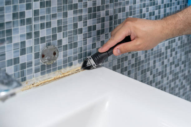 Office Mold Removal Services in Fulton, MO